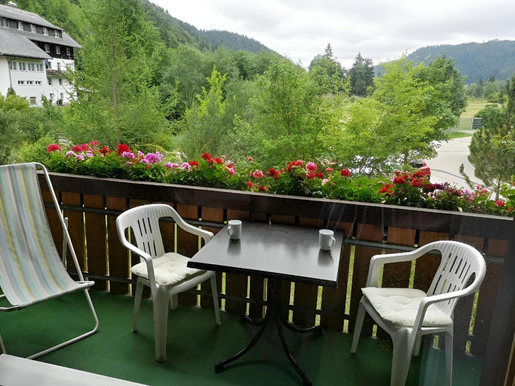 Naturidyll Am Fluss - Ferienhaus Albmatte - Grosser Garten Zum Grillen Und Entspannen-Direkt Neben Dem Radon Revitalbad Mit Sauna Und Thermalbecken St. Blasien Ngoại thất bức ảnh